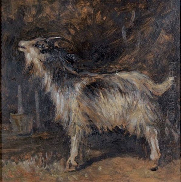 Capra Oil Painting by Antonio Milone