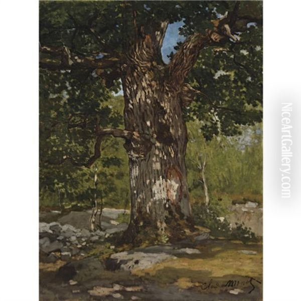 Un Chene Au Bas-breau, Le Bodmer Oil Painting by Claude Monet