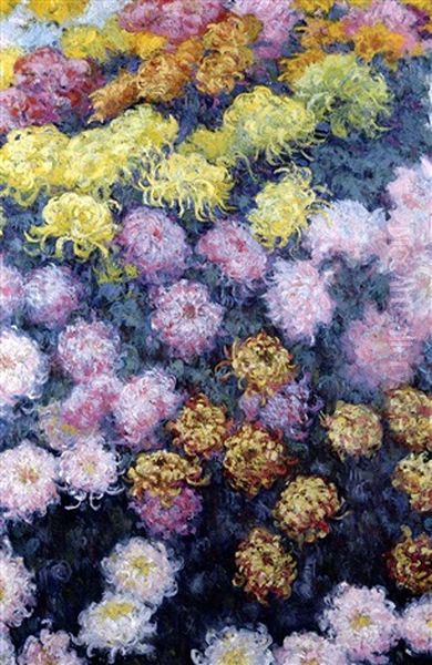 Massif De Chrysanthemes Oil Painting by Claude Monet