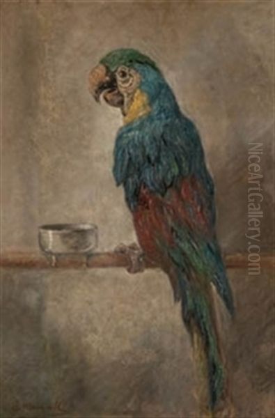 Loro Oil Painting by Jose Mongrell Torrent