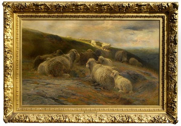 Sheep On Hillside Oil Painting by John Austin Sands Monks