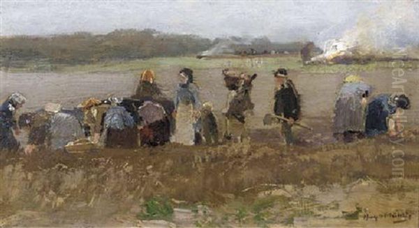 Kartoffelernte In Hessen - A Study Oil Painting by Hugo Muehlig