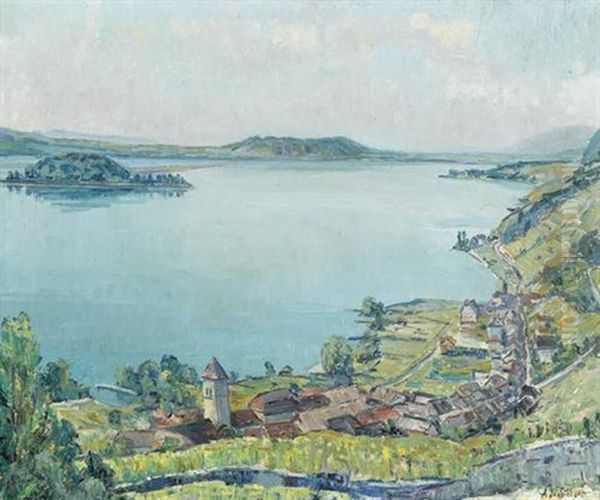 Bielersee Mit Twann Und St. Petersinsel Oil Painting by Alfons Muller