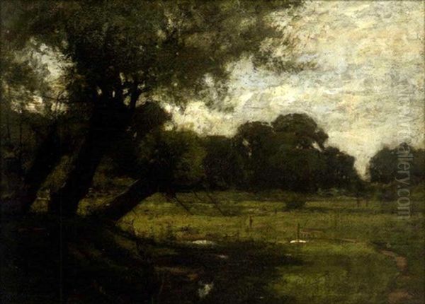 Green Meadows With Willow Tree Oil Painting by John Francis Murphy