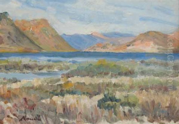 An Extensive Landscape With A Lake Oil Painting by Pieter Hugo Naude
