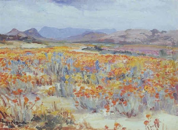 Namaqualand Daisies Oil Painting by Pieter Hugo Naude