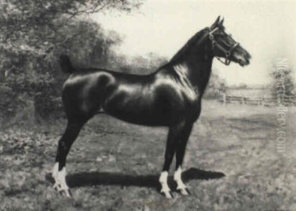 Portrait Of The Horse 'lady Dilham' Oil Painting by Richard Newton II