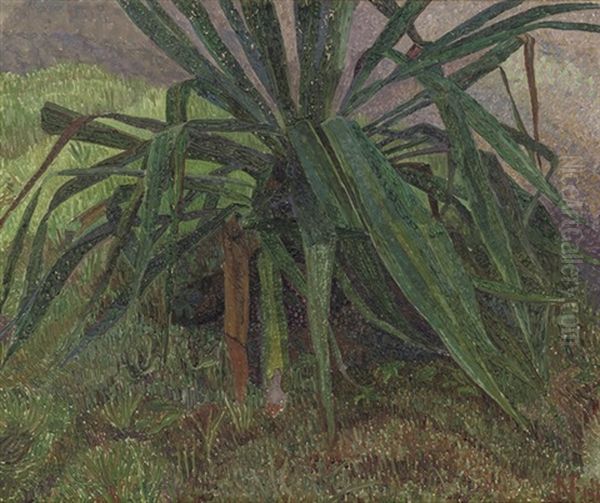 Agave Oil Painting by Jakob Nieweg