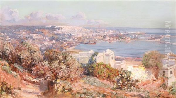 Panorama D