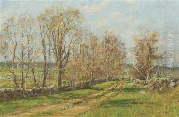 Cattle On A Path Oil Painting by Olive Parker Black