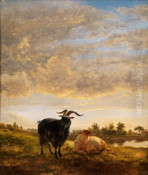 Ziegenbock Und Schaf In Weidelandschaft Mit Tumpel Oil Painting by Balthasar Paul Ommeganck