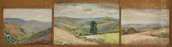 Vues Des Ardennes (various Sizes, Triptych) Oil Painting by Henri Ottevaere