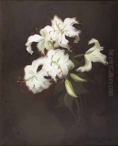 Still Life Of White Lilies Oil Painting by Stuart James Park