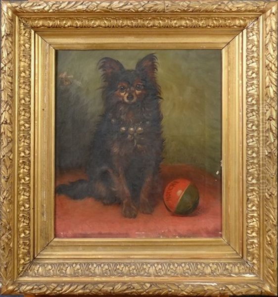 Portrait Du Chien Mouche Oil Painting by Robert De Pauw