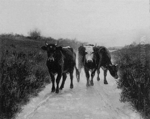 Cows On A Roadway Oil Painting by William Houghton Sprague Pearce