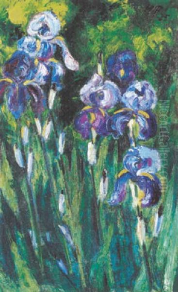 Iris Im Abendschatten Oil Painting by Max Pechstein