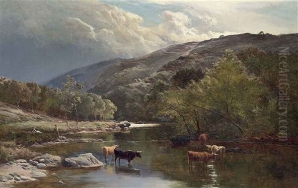 Cattle Watering In The River Lyn, North Devon Oil Painting by Sidney Richard Percy