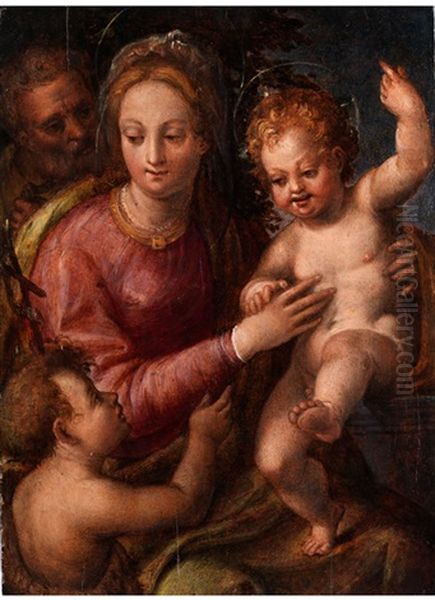 Sacra Famiglia Con San Giovannino  (heilige Familie Mit Heiligem Johannes) Oil Painting by  Perino del Vaga