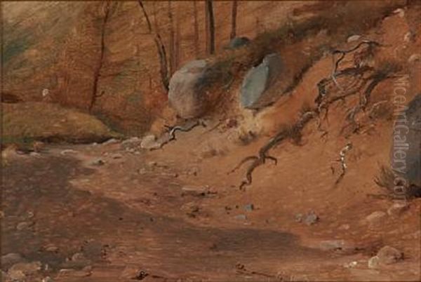 Studie Af En Skraent I Skoven Oil Painting by Vilhelm Peter Carl Petersen