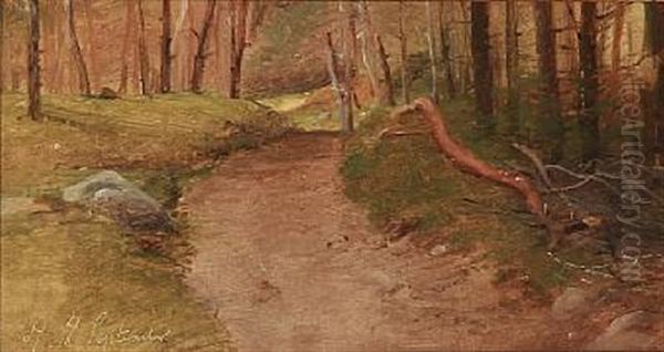 Studie Af En Skovvej Oil Painting by Vilhelm Peter Carl Petersen