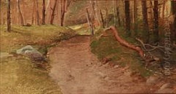 Studie Af En Skovvej Oil Painting by Vilhelm Peter Carl Petersen