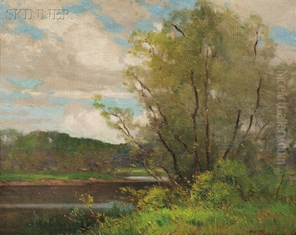 Willows Oil Painting by Frank Charles Peyraud