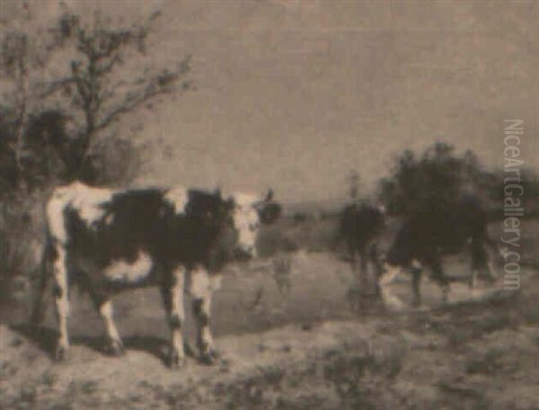 Cows By The River Oil Painting by Aymar Pezant
