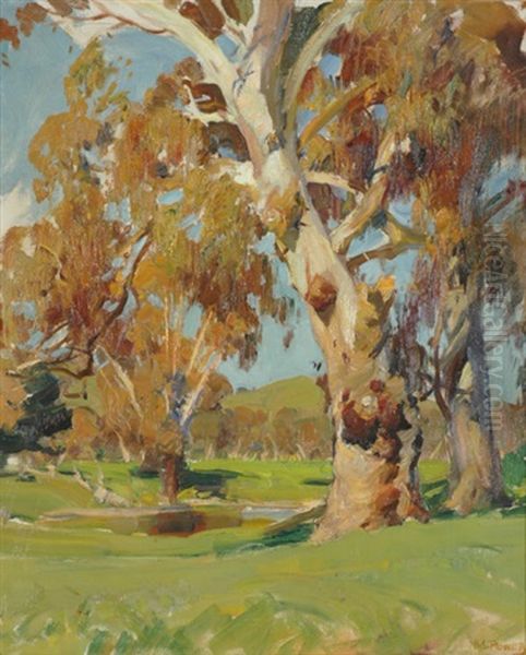 Red Gums By The Waterhole Oil Painting by Harold Septimus Power