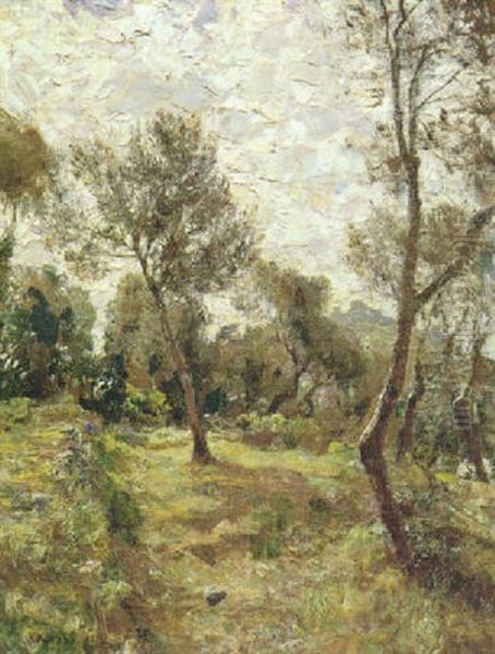 Ulivi Di Capri Oil Painting by Attilio Pratella