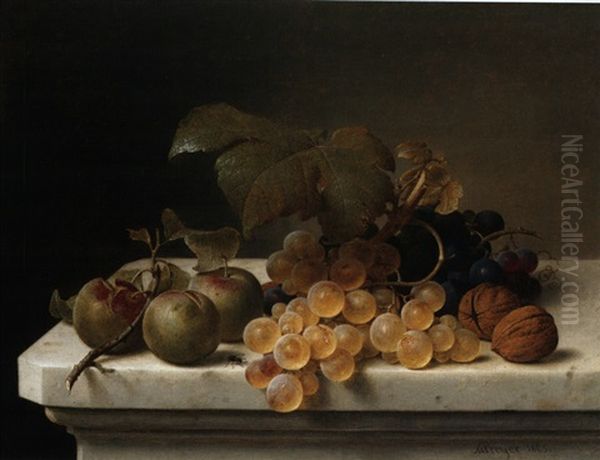 Stilleben Mit Pflaumen, Trauben Und Wallnussen Auf Marmorgesims Oil Painting by Johann Wilhelm Preyer