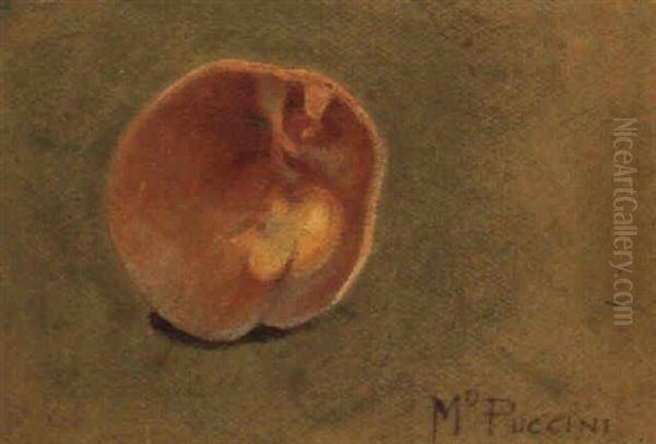 La Pesca Oil Painting by Mario Puccini