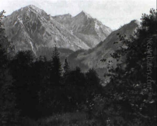 Sommerliche Gebirgslandschaft Oil Painting by Emil Rau