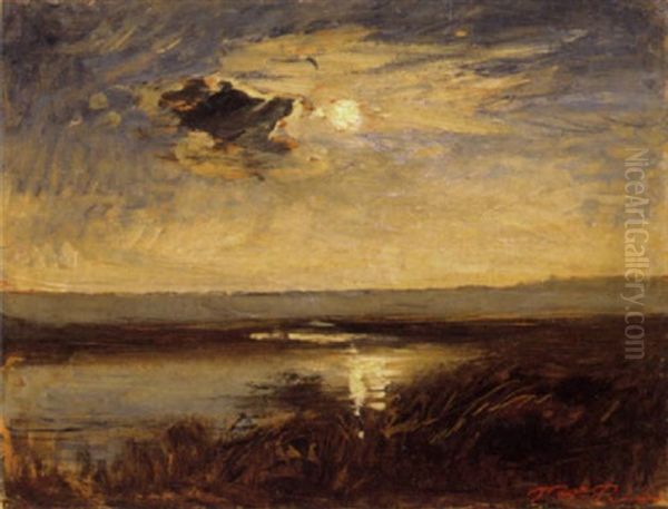 Coucher De Soleil Sur L'etang De La Leva Oil Painting by Auguste Francois Ravier