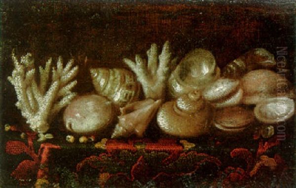 Shells And Coral On A Draped Table Oil Painting by Giuseppe Recco