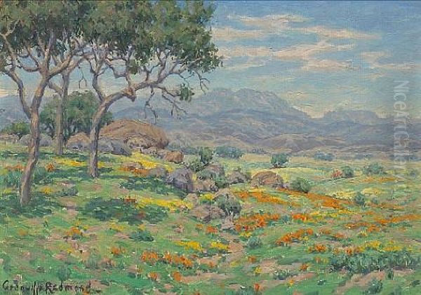 California Wildflowers In An Extensive Landscape Oil Painting by Granville S. Redmond