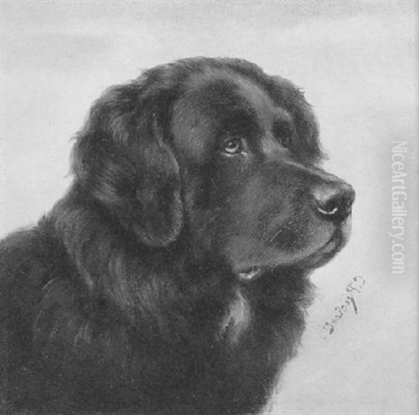 Portrait Eines Neufundlanders Oil Painting by Carl Reichert