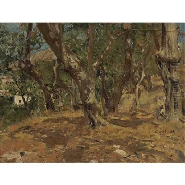 Landscape Study, Capri Oil Painting by Ilya Repin