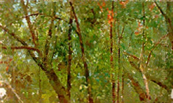 Paisaje Oil Painting by Antonio Maria de Reyna Manescau