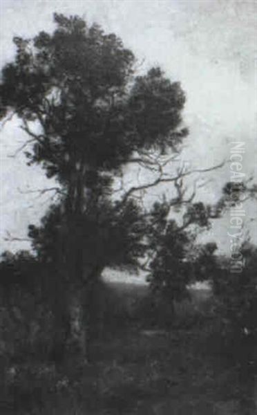 Chenes Dans La Prairie Oil Painting by Leon Richet