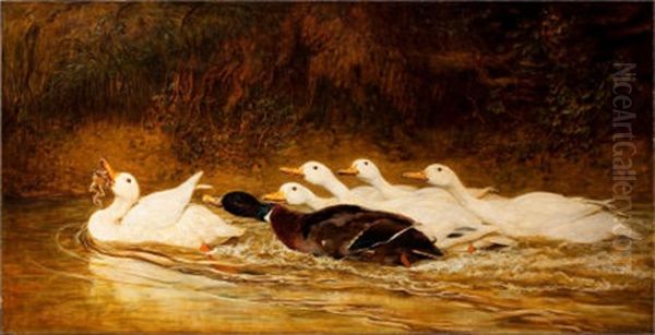 A Stern Chase Is A Long Chase Oil Painting by Briton Riviere