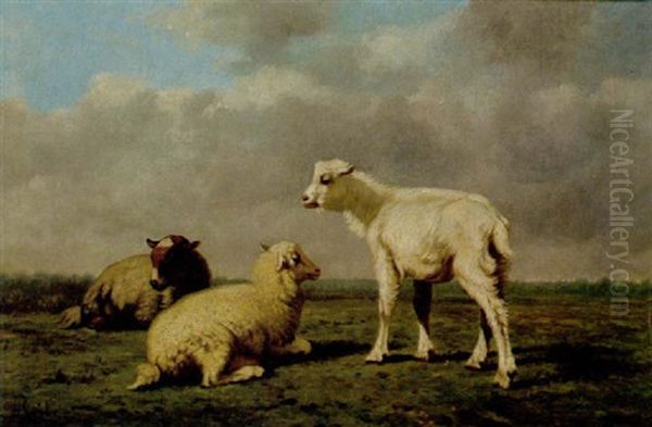 Schafe Auf Der Weide Oil Painting by Louis Robbe
