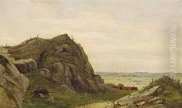 Svensk Landskab Oil Painting by Frederik Rohde