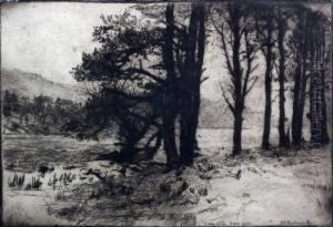 Landscape Scene