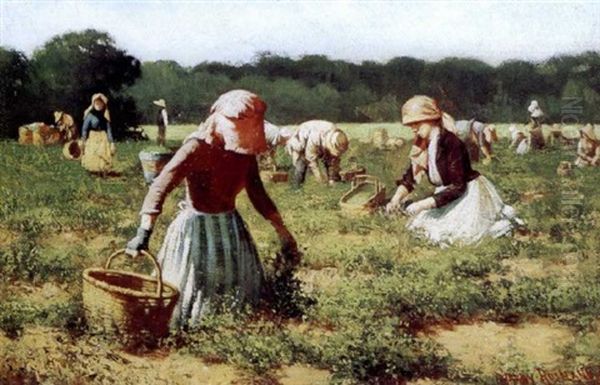 In The Pea Field Oil Painting by Harry Herman Roseland