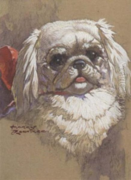 The Head Of Pekingese Oil Painting by Harry Rowntree