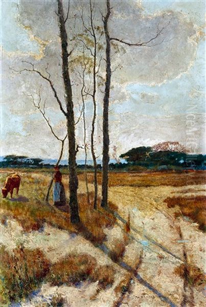 Summer Afternoon With Clouds Oil Painting by Mark Rubovics