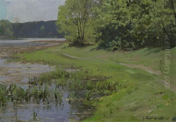 Sommerlicher Uferweg Am Schlachtensee Oil Painting by Johannes Rudolphi