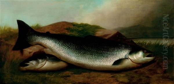 Salmon On A River Bank Oil Painting by John Bucknell Russell