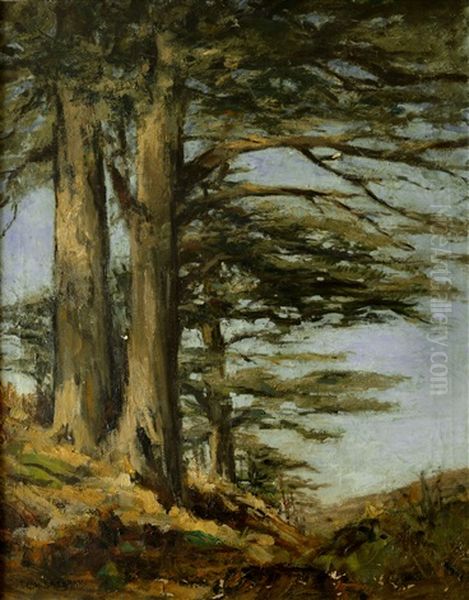 Le Cedre Oil Painting by Georges Hanna Sabbagh
