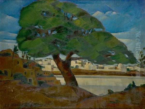 Le Vieux Cycomore De Rod-el-farag, Egypte Oil Painting by Georges Hanna Sabbagh